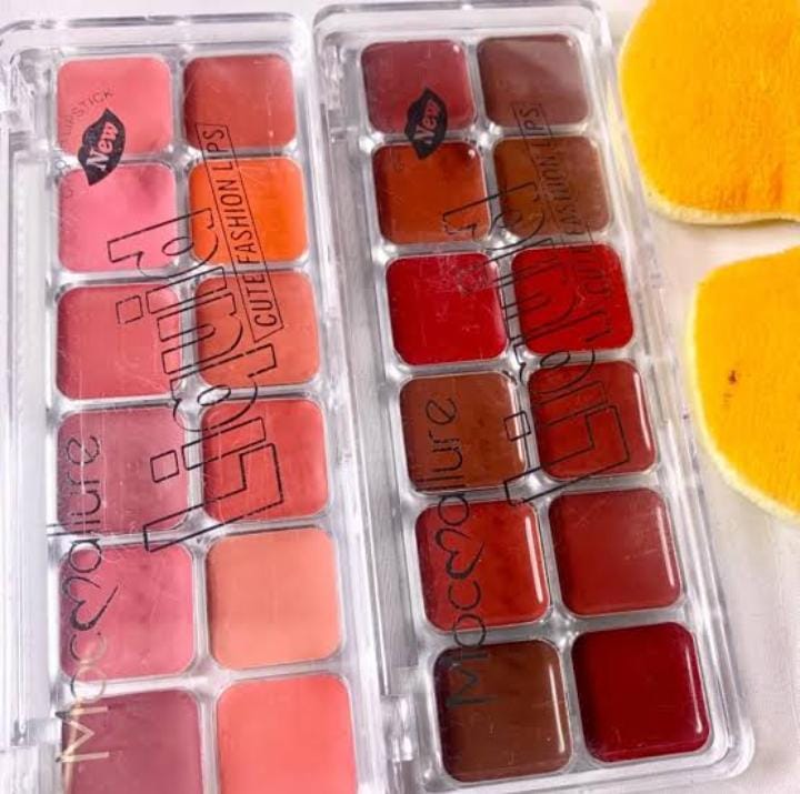 Mocallure Lipstick and Blush palette - Dark
