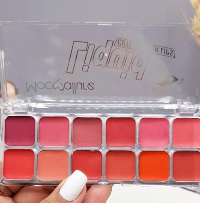 Mocallure Lipstick and Blush palette - Dark