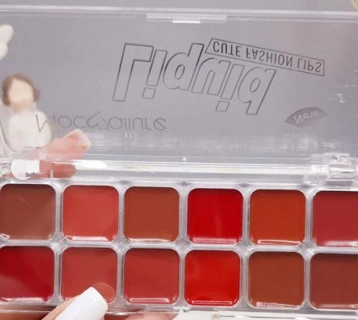 Mocallure Lipstick and Blush palette - Dark